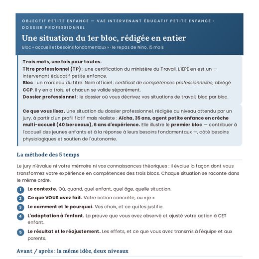 Aperçu : Une situation du dossier professionnel