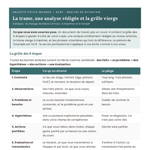 Aperçu : L'analyse de situation, trame et exemple rédigé