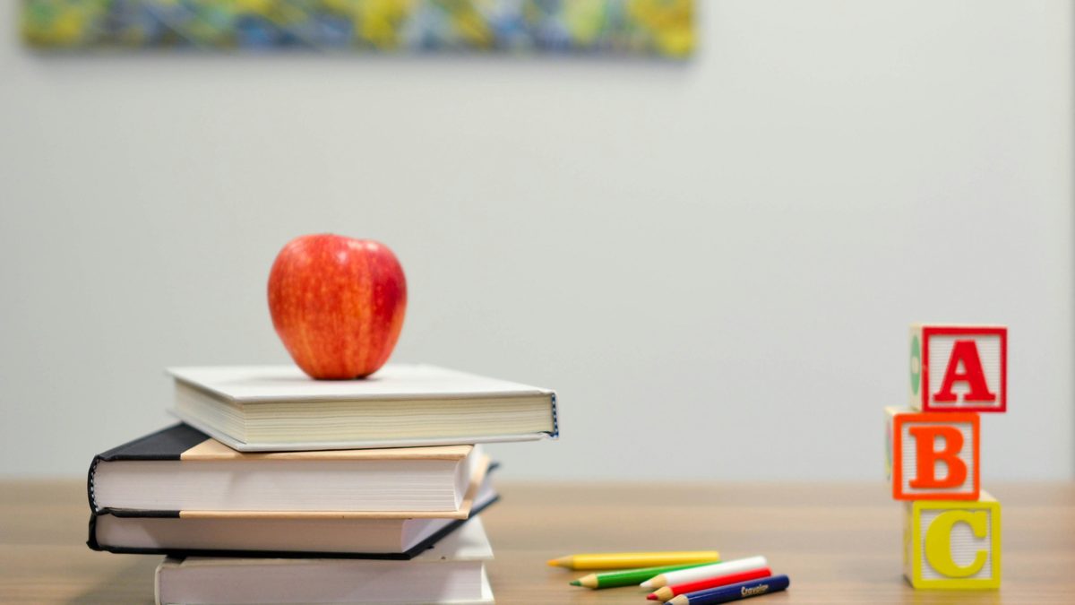 Manuels, crayons et cubes d'apprentissage pour réviser le module 4 de la formation d'auxiliaire de puériculture