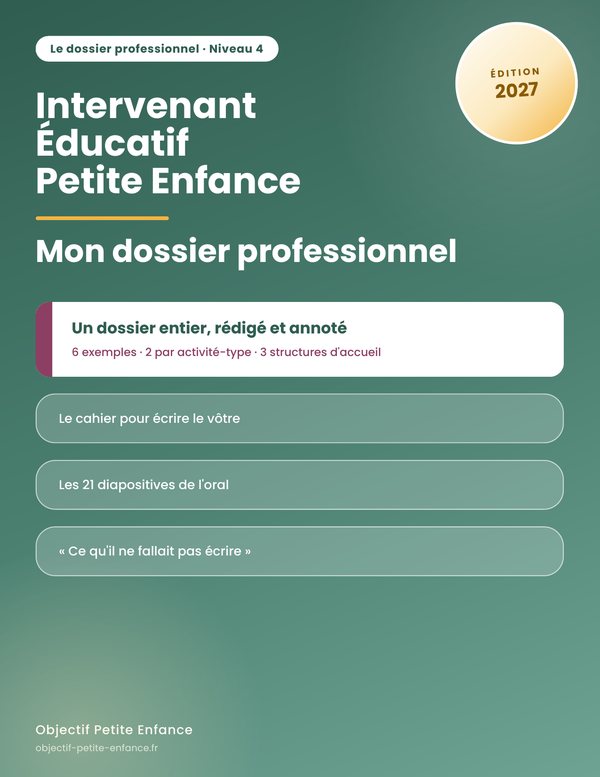 Mon dossier professionnel IEPE, un dossier entier rédigé et annoté