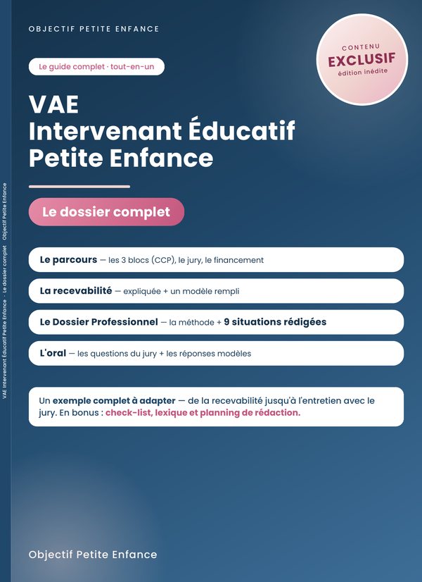 VAE Intervenant éducatif petite enfance, le dossier exemple complet